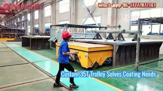 Customized Rail Transfer Cart for Spray Coating Line,35T Battery Transfer Trolley